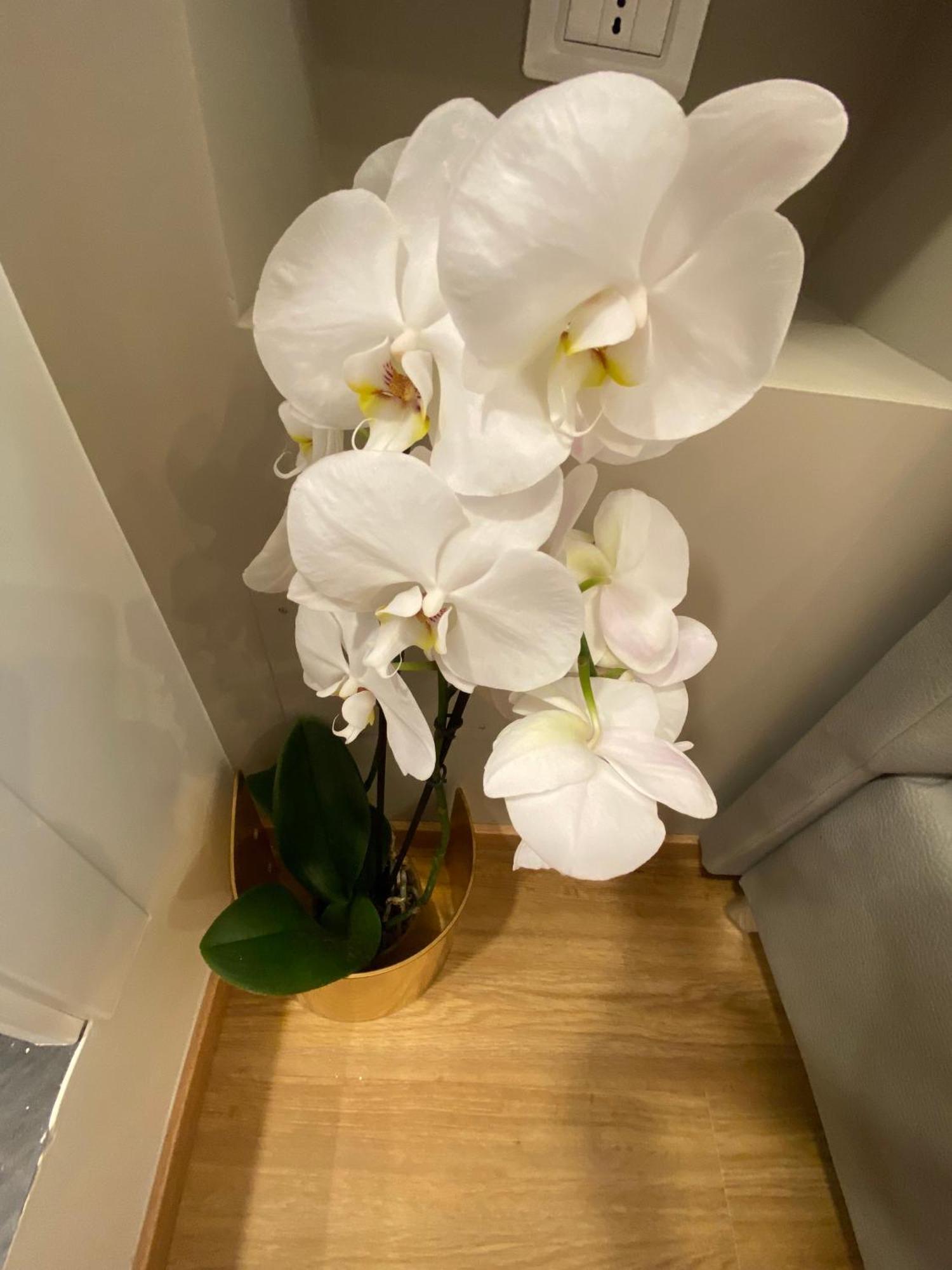 De Vince Suites - Luxury Rooms - Roma Termini Екстериор снимка